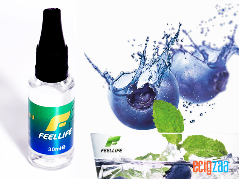 Blueberry Ice Mint SHI SHA